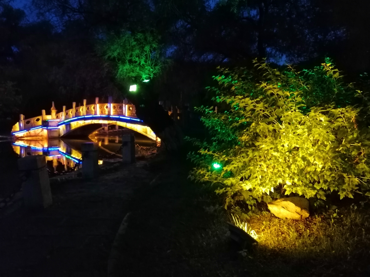 劳动公园夜色美