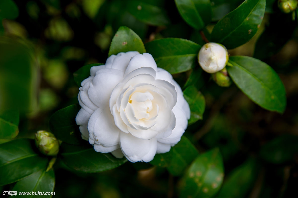 品读经典传承文明东明小学中华经典诗文诵读活动