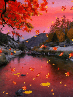 240_320竖版 竖屏gif 动态图 动图