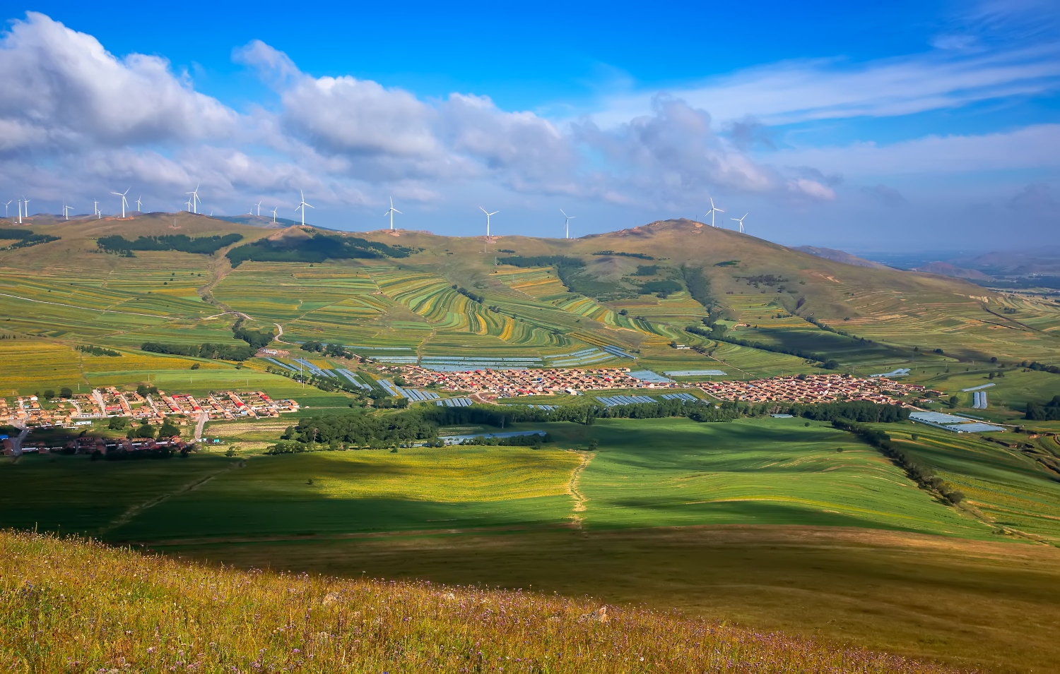 爱祖国更爱家乡作者余秋雨朗读景上缘摄影生活如歌退伍老战士