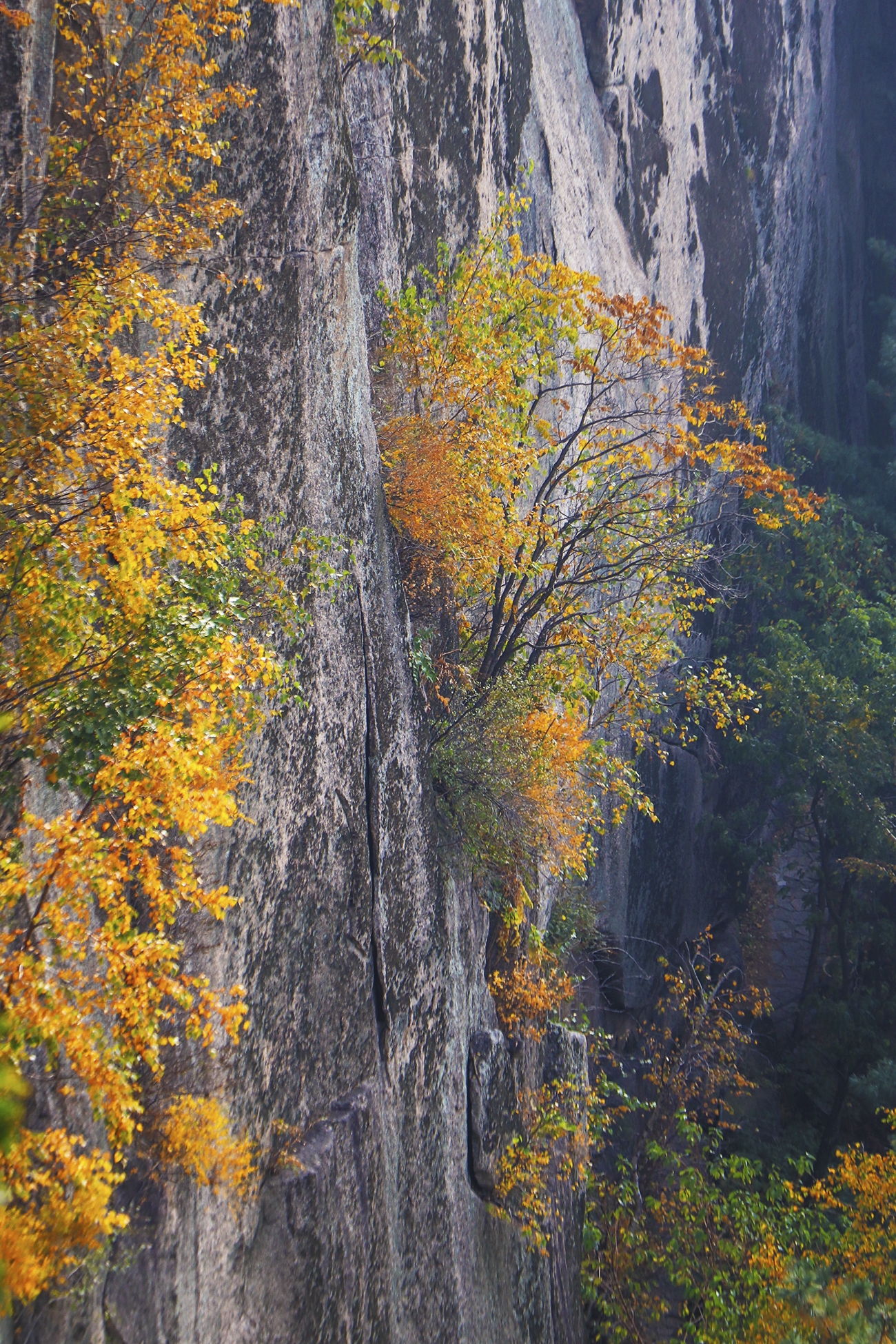伊春桃山悬羊峰风光