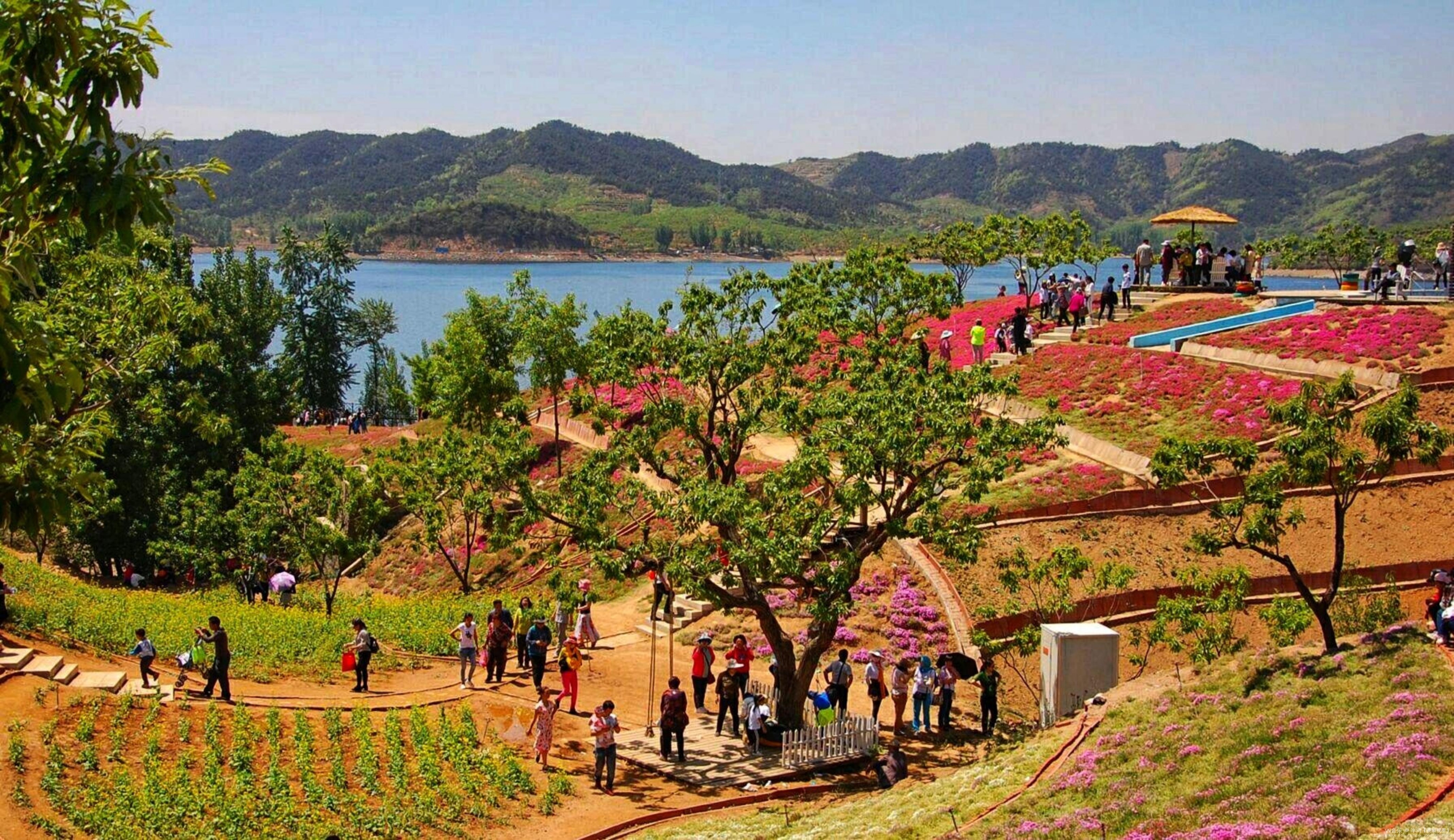 天女小镇的春天(首发)