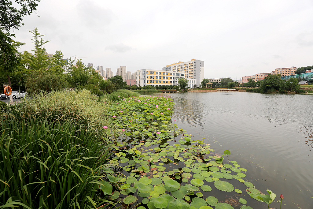 大连海事大学心海湖一一随拍
