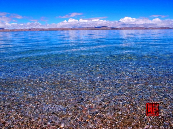 后来,笑了哭了,后来,爱了散了,一如那些~遗失在河南的花儿.