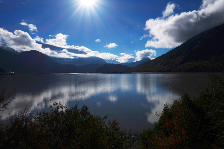 后来,笑了哭了,后来,爱了散了,一如那些~遗失在河南的花儿.