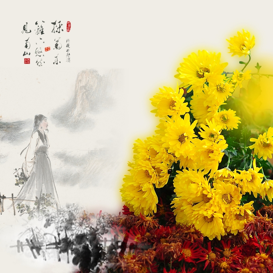 [凤凰诗社】美洲二分社#现代诗同题《采菊东篱下》专辑(下) 第160期