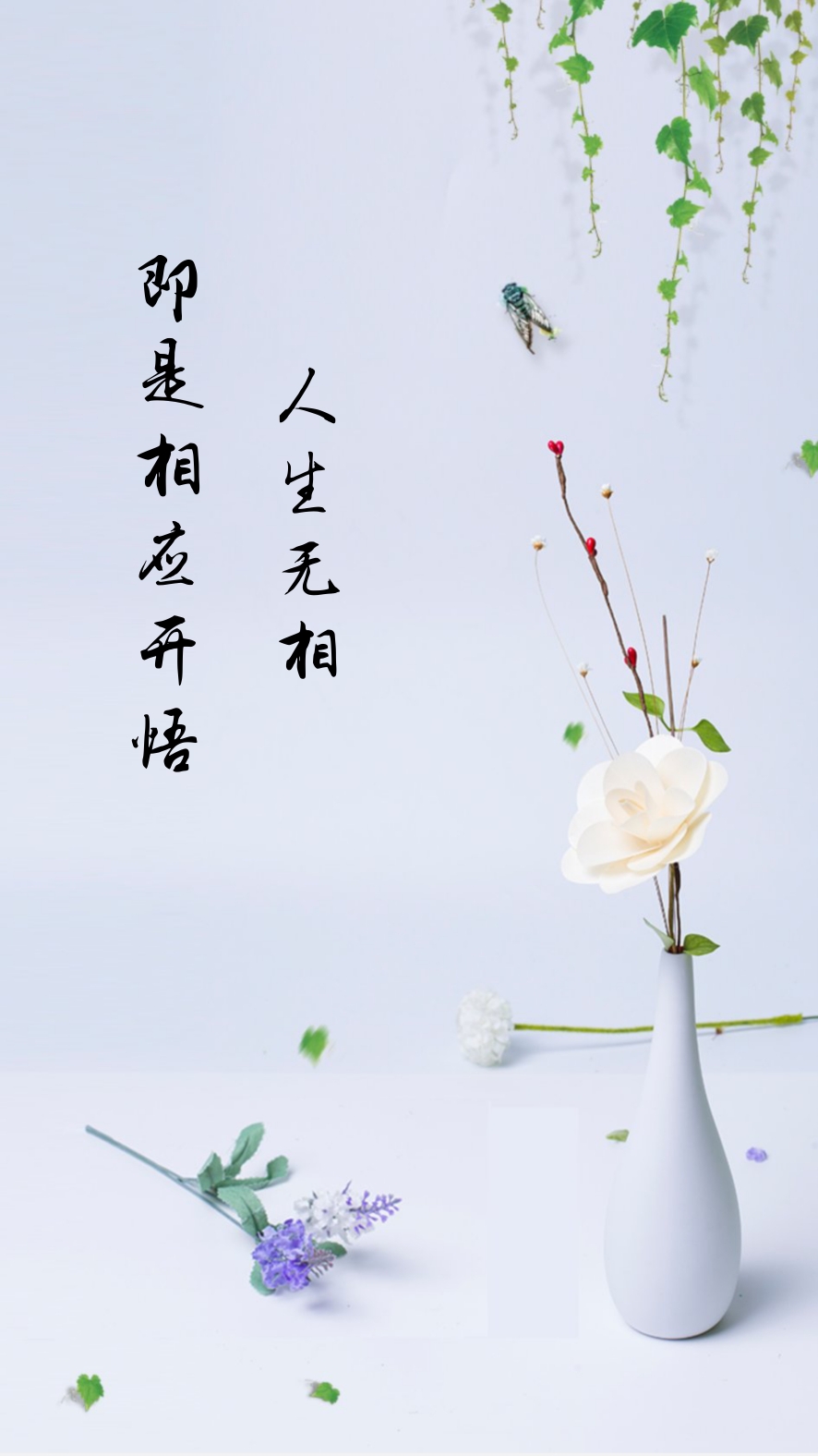 人生无相即为相应开悟