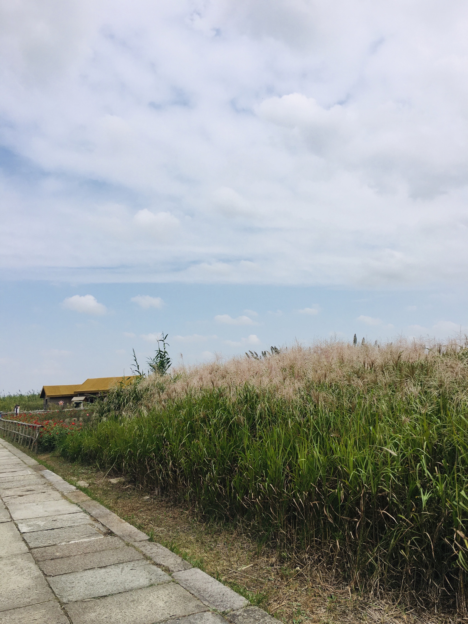 寧波杭州灣國家溼地公園掠影