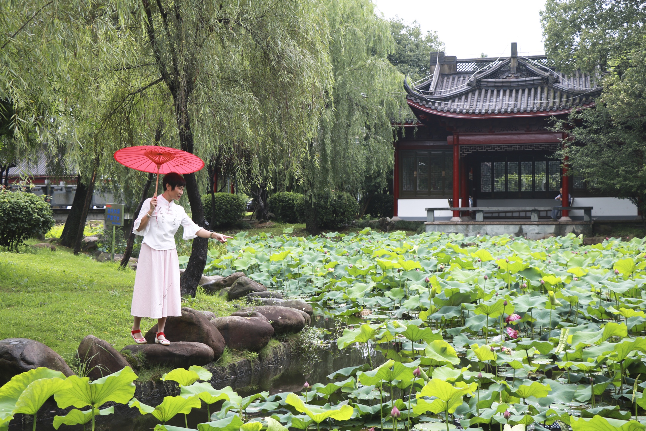 横河公园留倩影