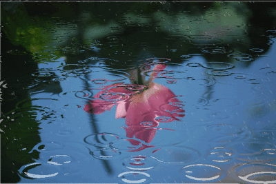 【原创首发】雨漫滔天夏豫惊,再建家园铁骨行