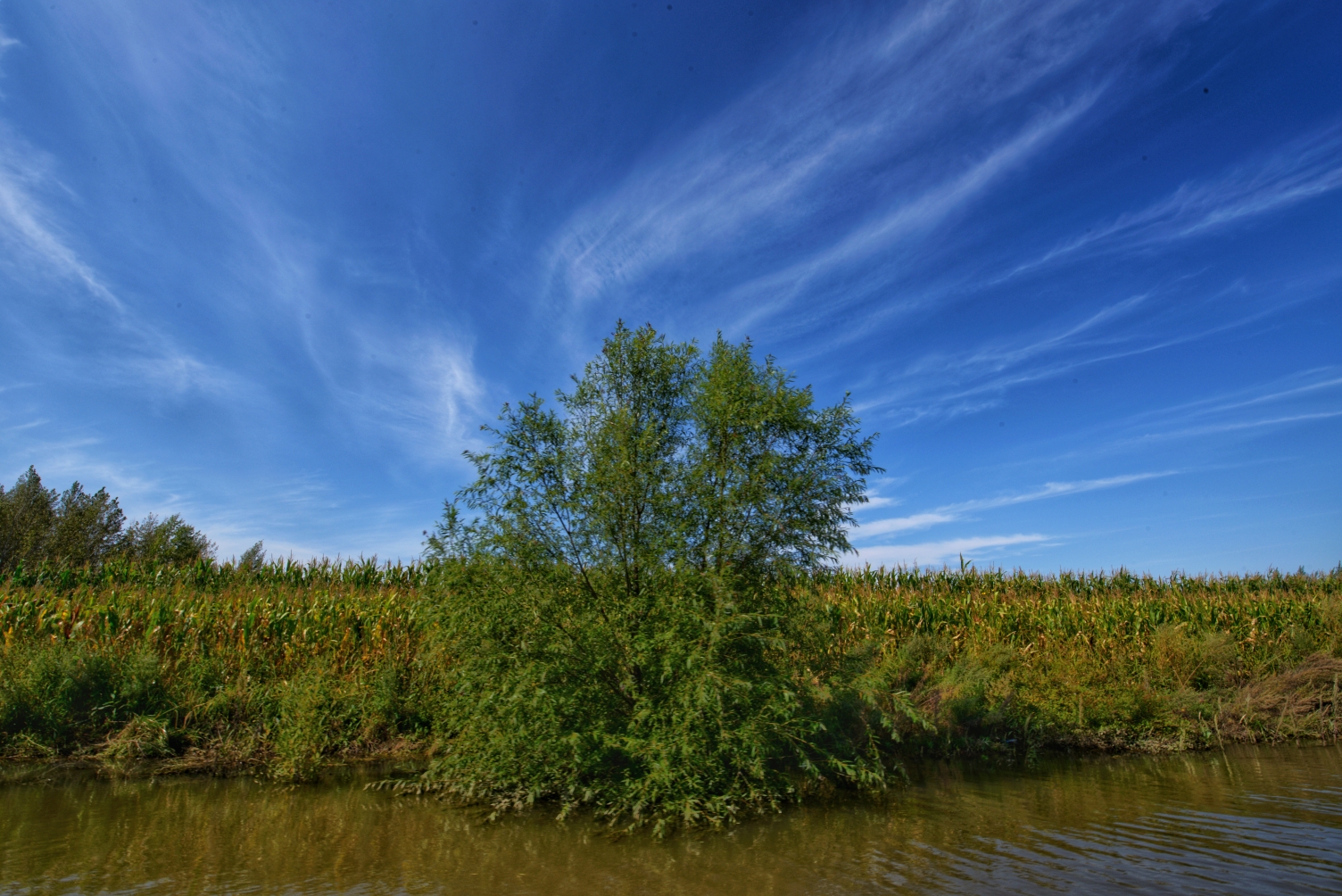 建三江七星河湿地风光