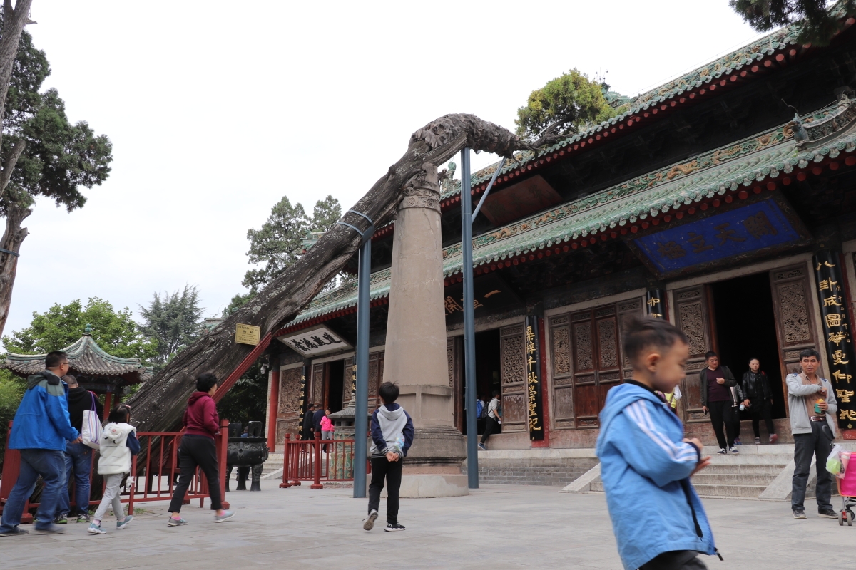 和政縣古動物博物館,紅軍長征哈達鋪紀念館,禮縣秦文化博物館