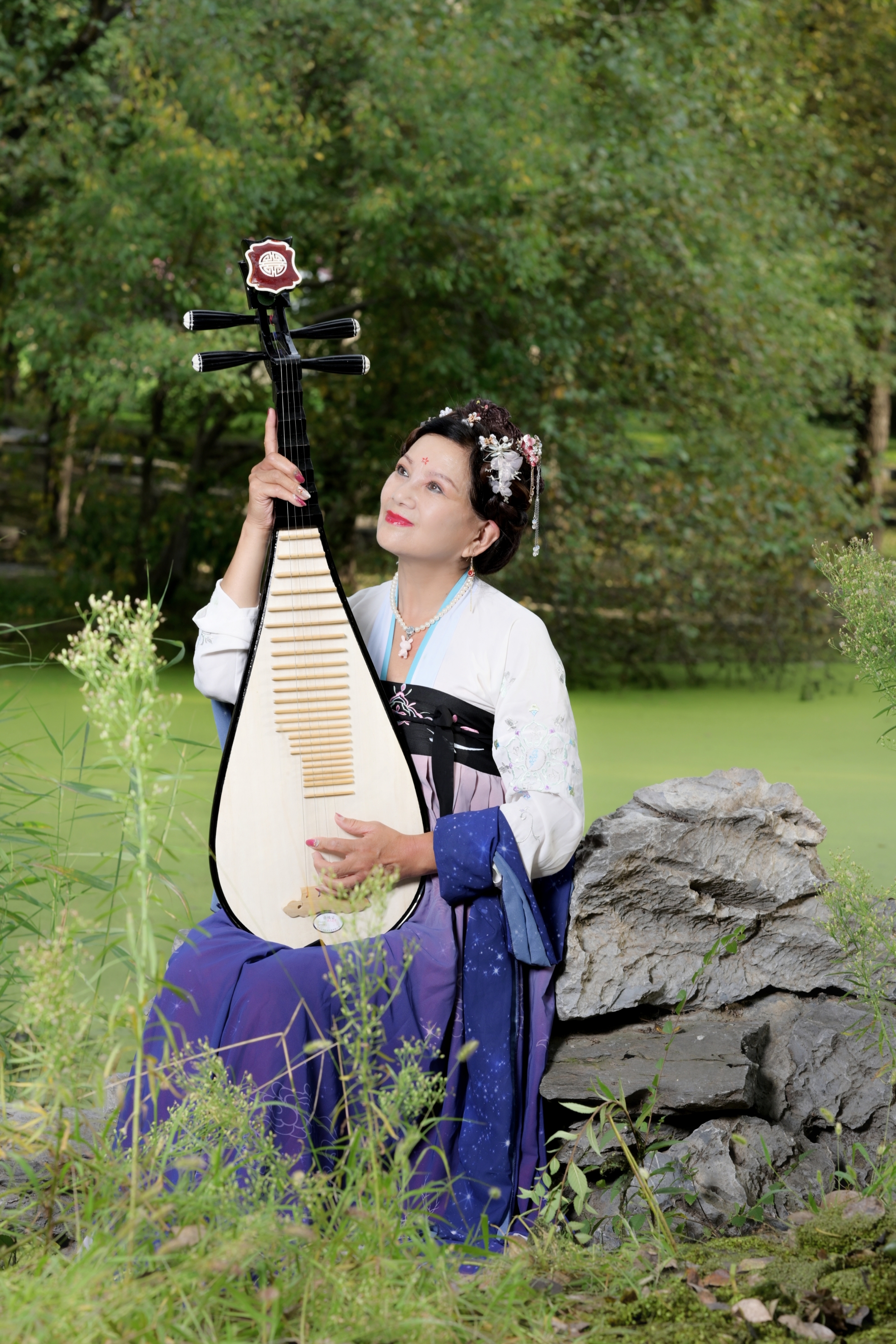 弹一曲琵琶诉情殇