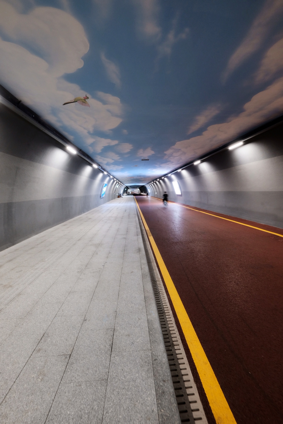 最美隧道板障山