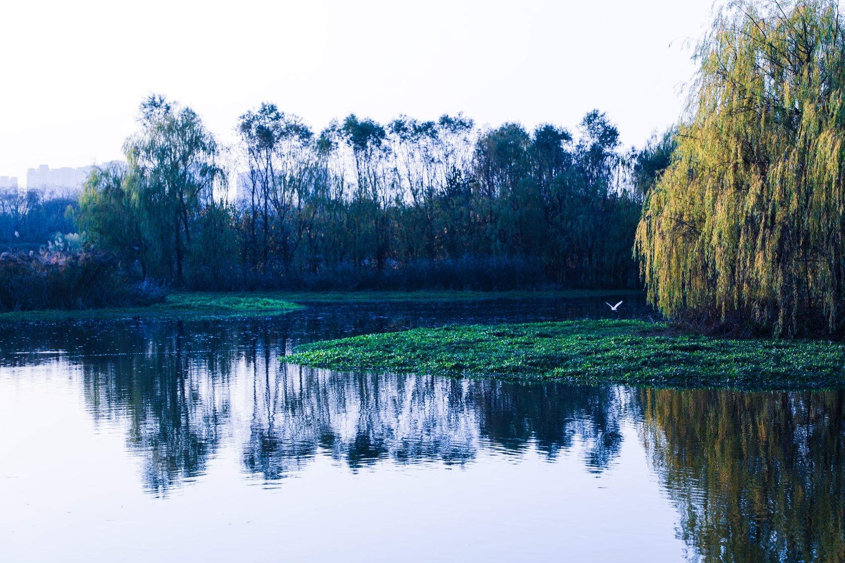 泾河国家湿地公园图片