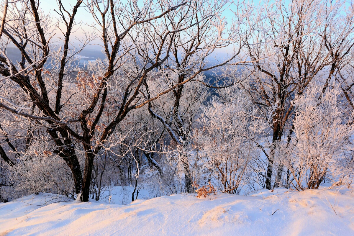 粉妆玉砌东山里
