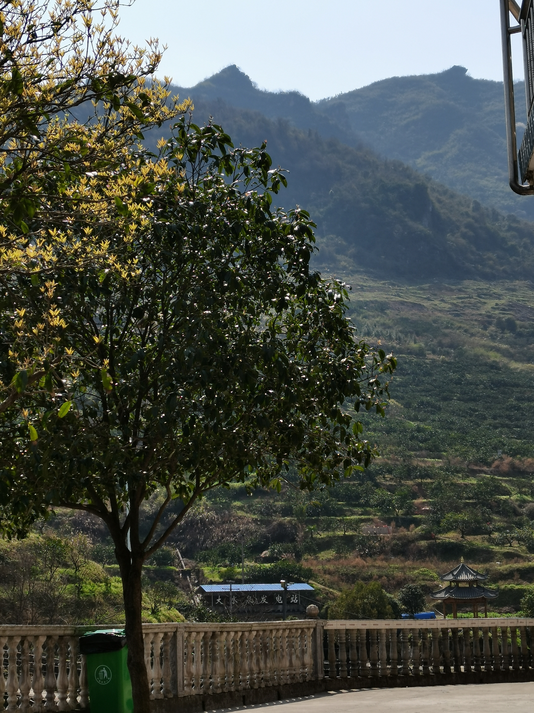 大泉山村家乡美