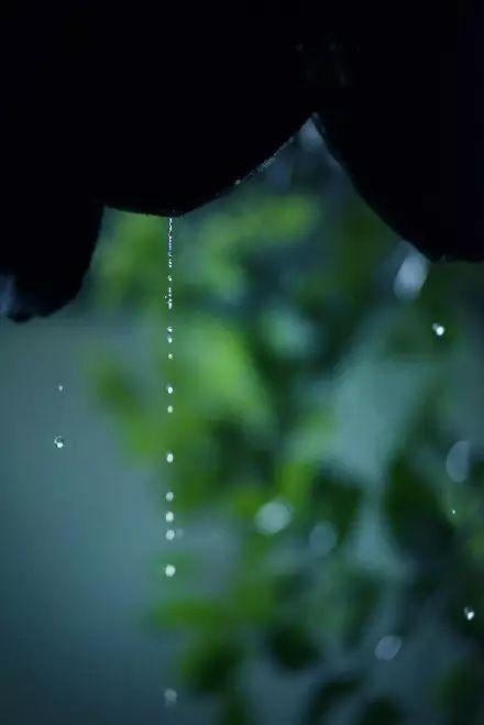 原创首发一程秋雨半城诗