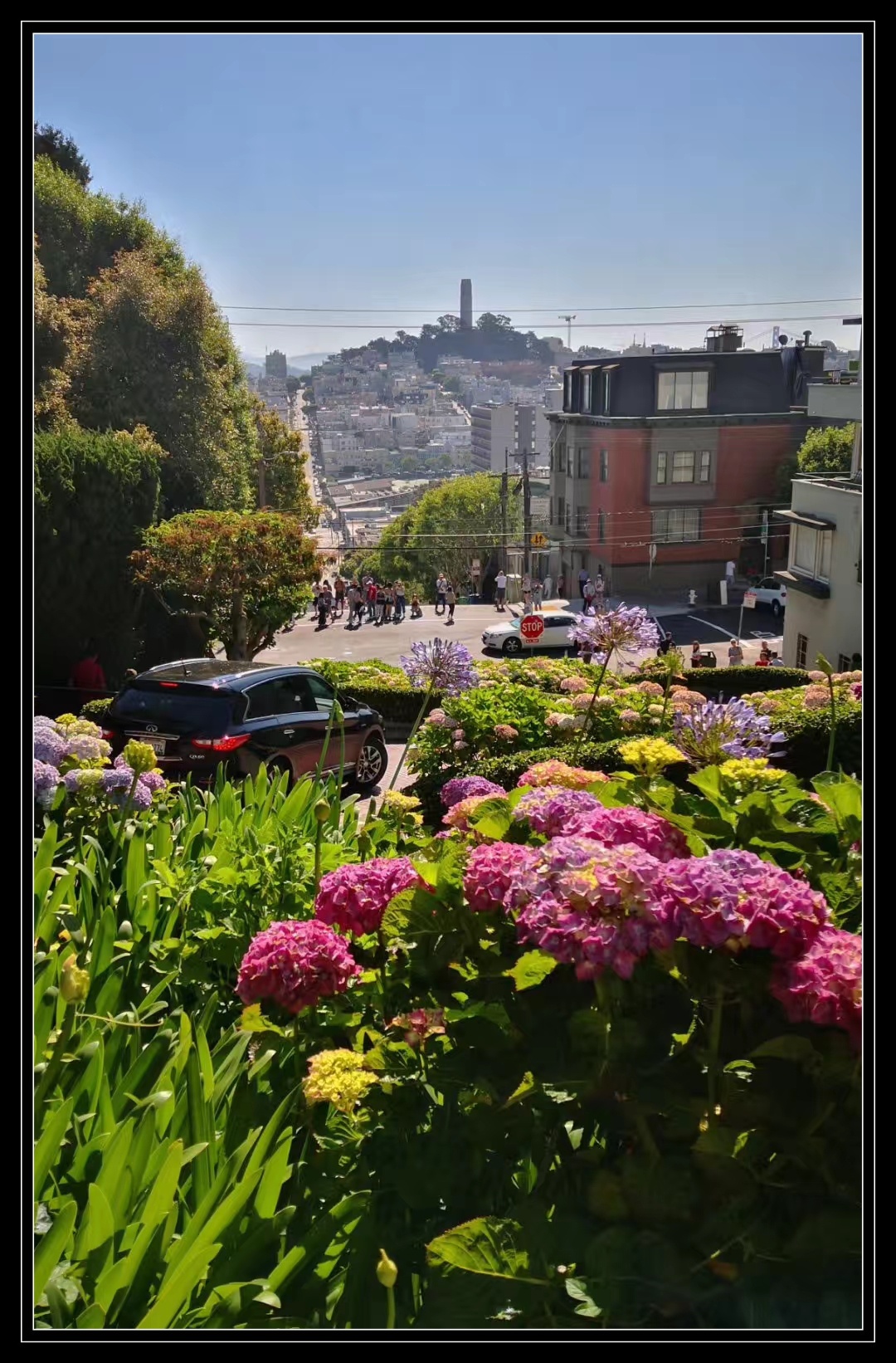 【首发】旧金山九曲花街