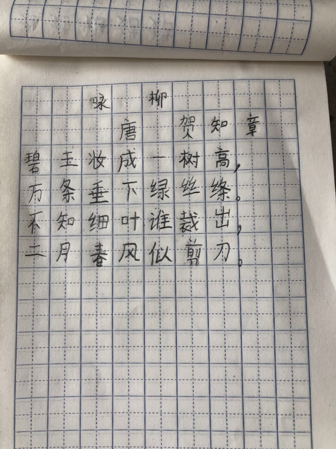 二年五班2020年第一次硬笔书法评比咏柳