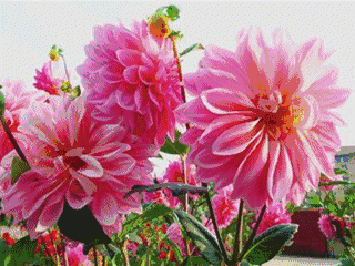 六六大顺!七星高照!八方来财!九运当头!十全十美!和和美美!幸福安康!