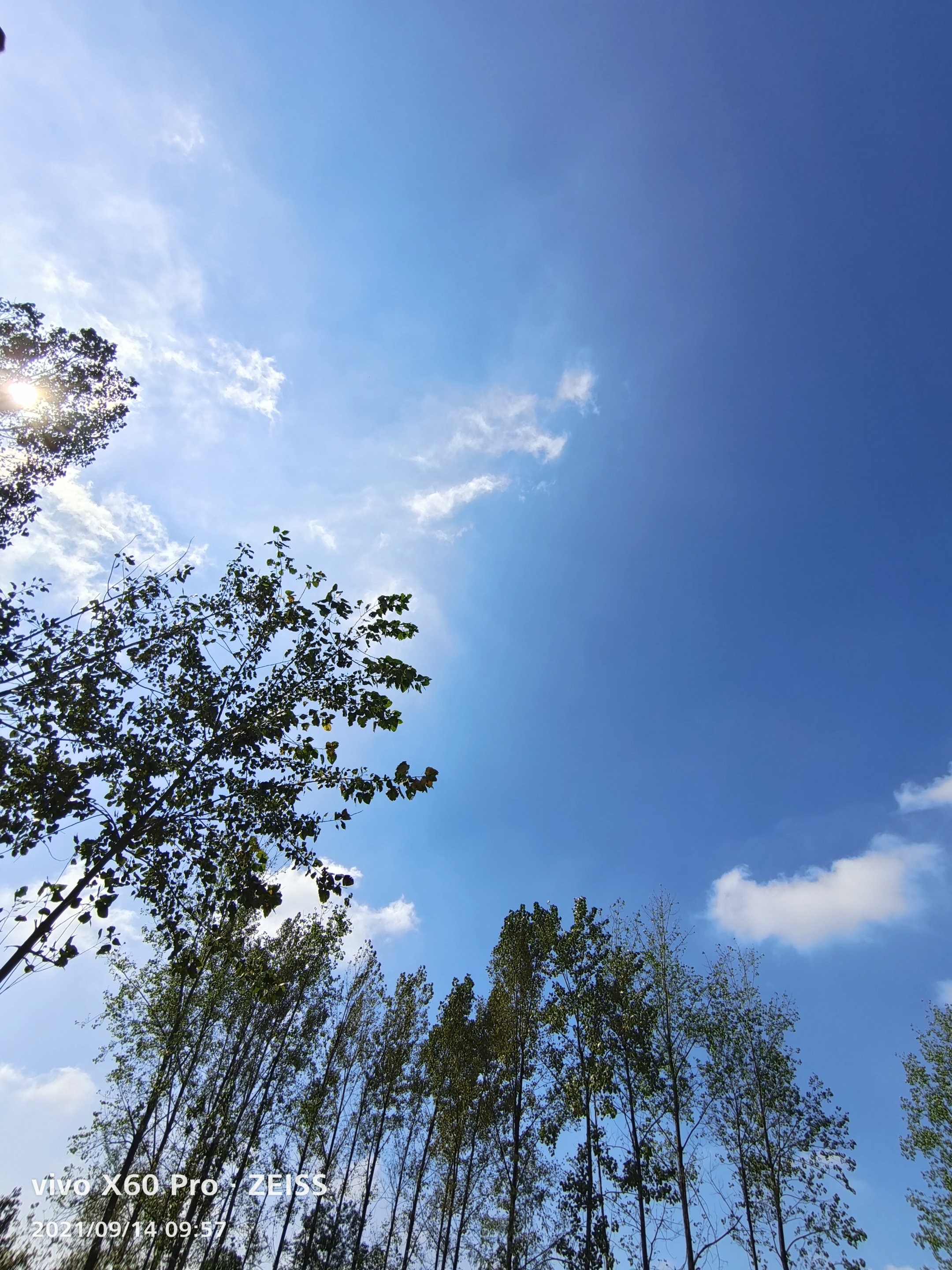 [首发] 晴空