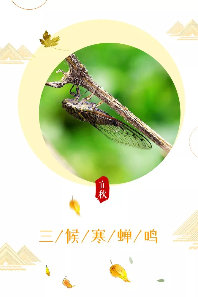 【文字原创首发】诗三首:立秋三候