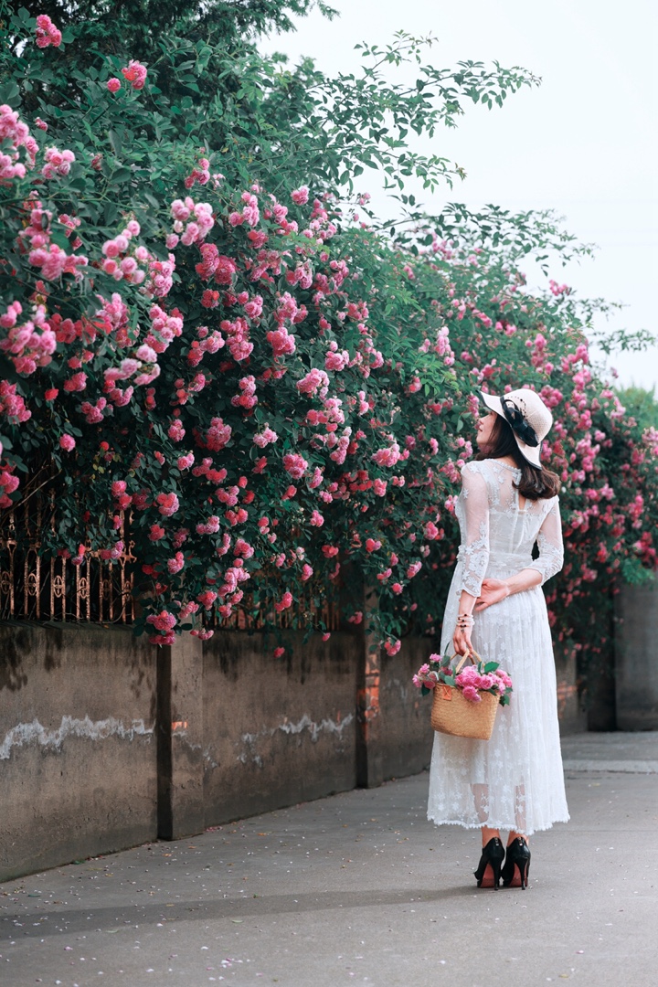 花开半夏如诗如画