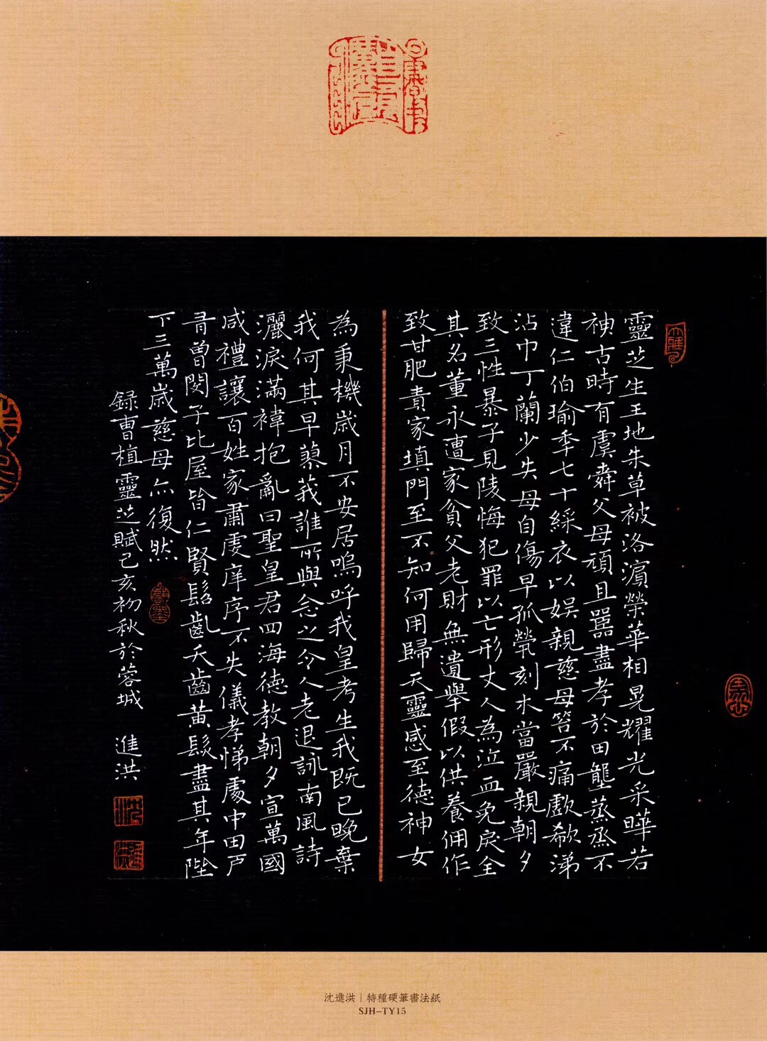 沈进洪2019部分获奖作品选展