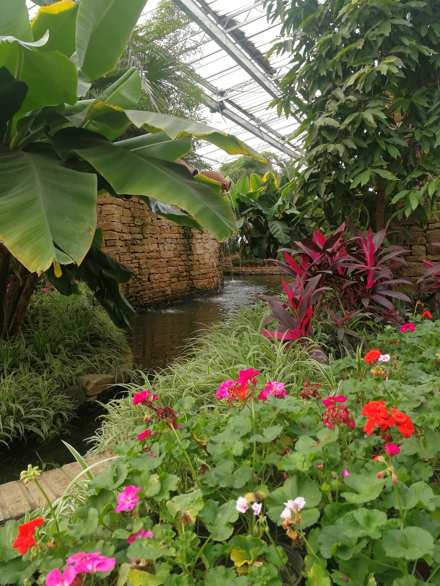 辽阳花卉博物馆一日游