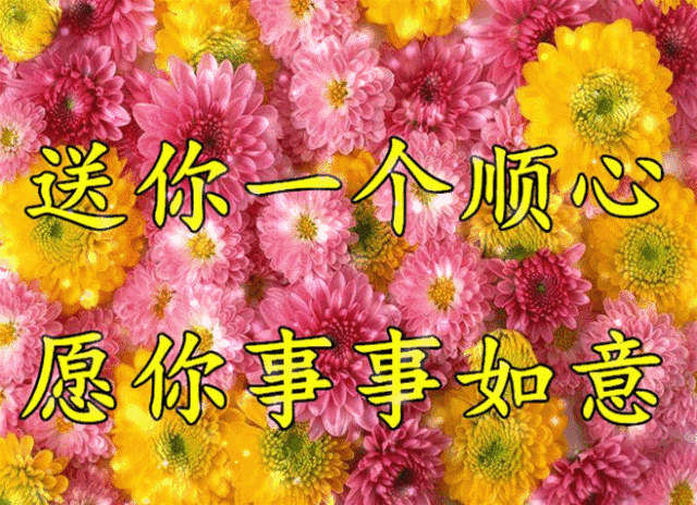 640_464gif 动态图 动图