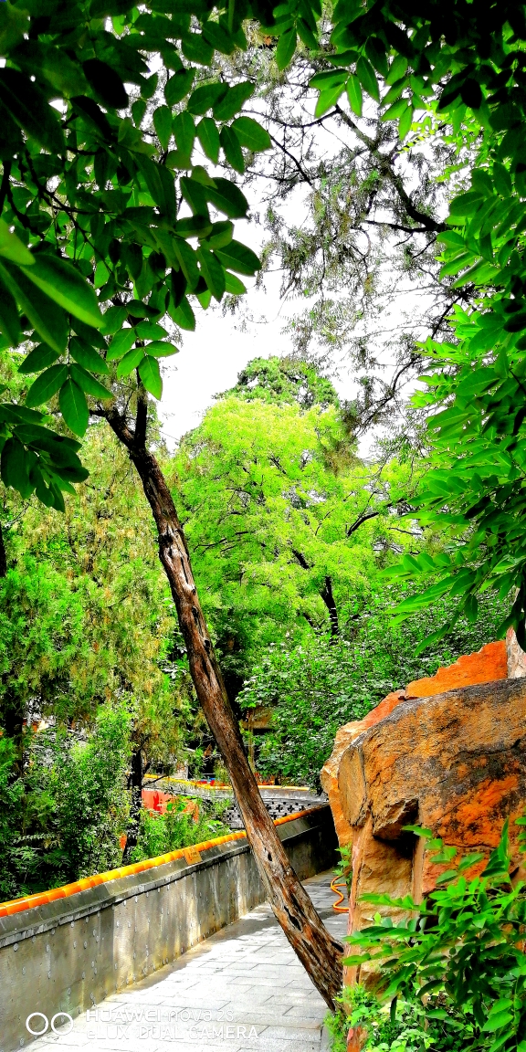 潭柘寺-- 深山禅林