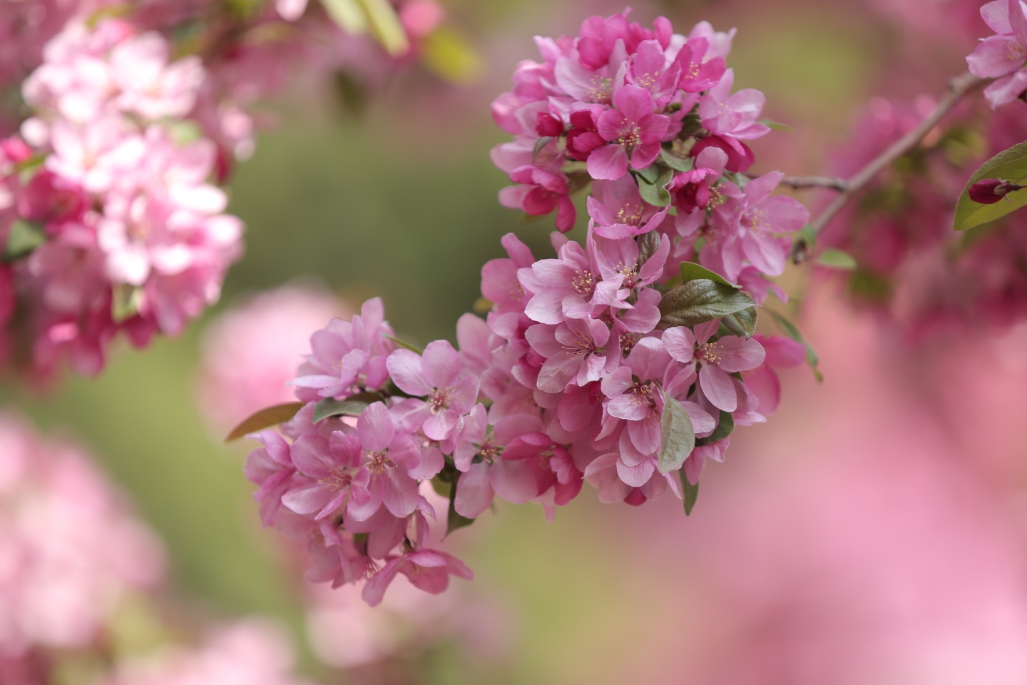 202148枫叶红摄影教学班小张老师带大家去北京海棠花溪奥林匹克公园