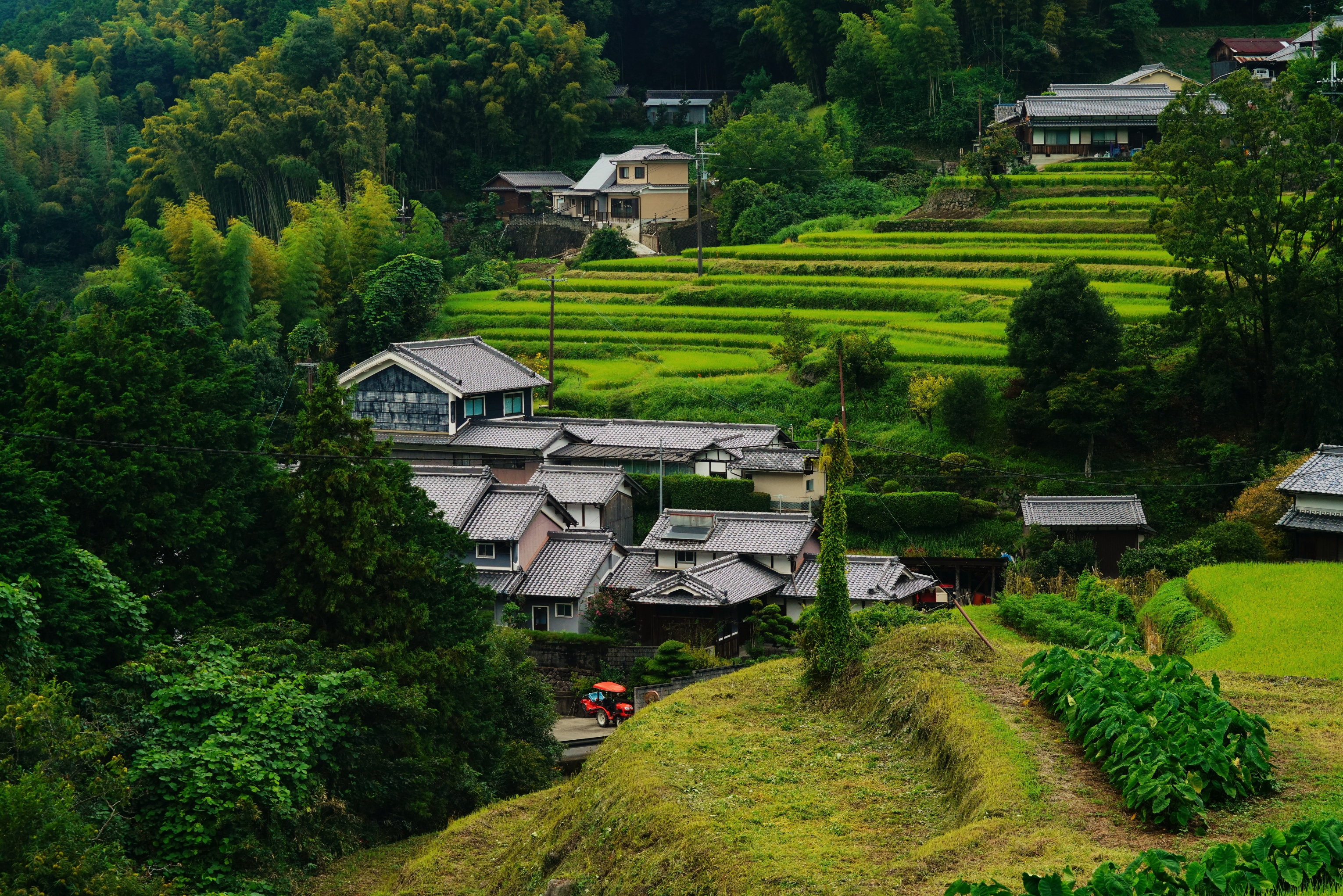 秋分的乡村