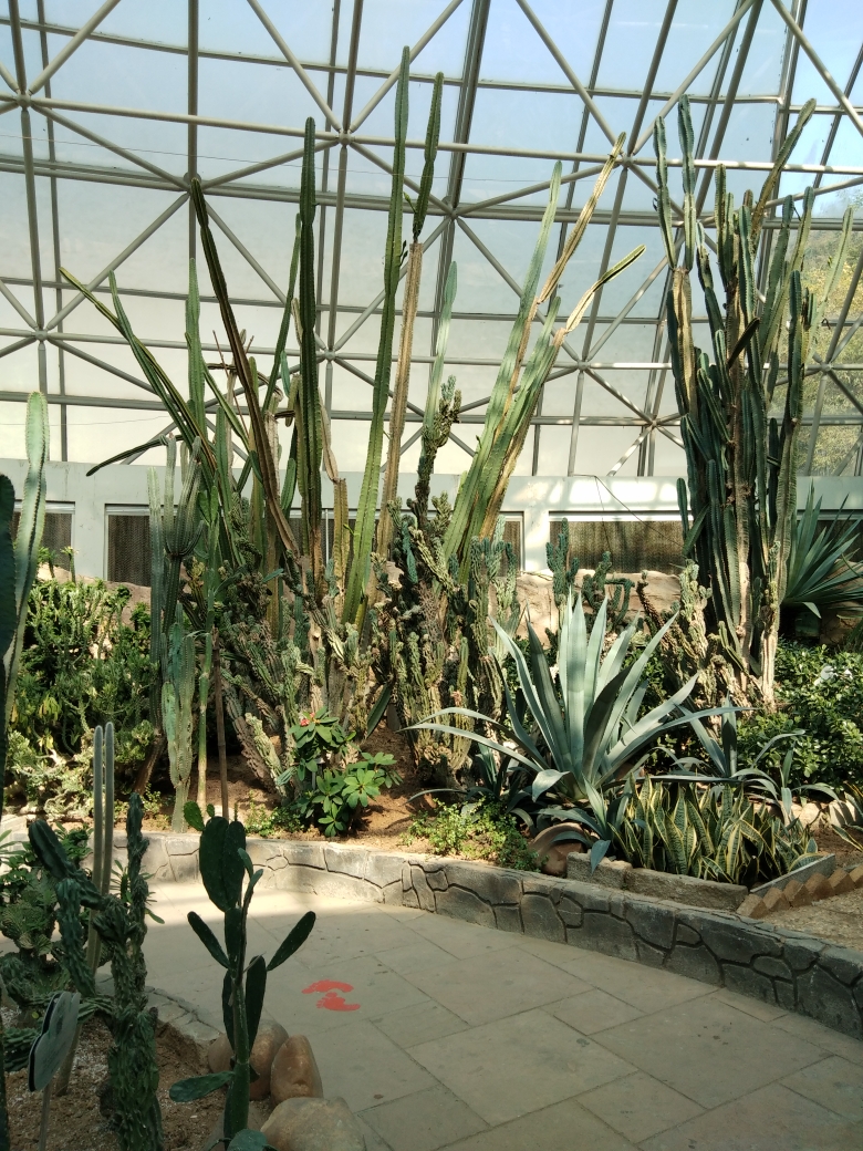 大连动物园的热带雨林风景