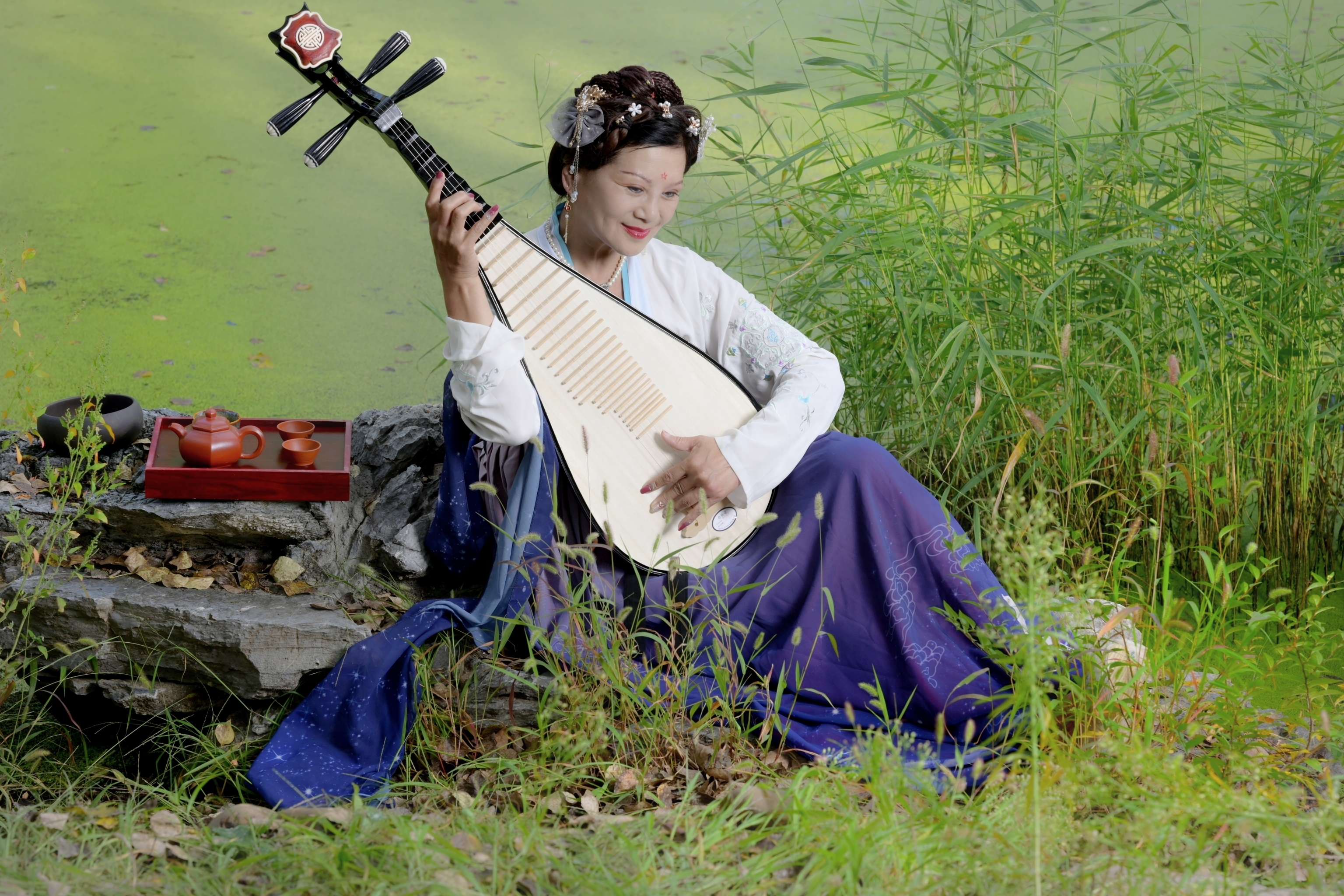 弹一曲琵琶诉情殇