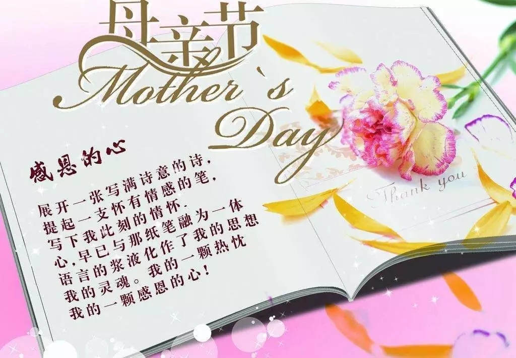 太极雪读《母爱如佛》文章来自网络