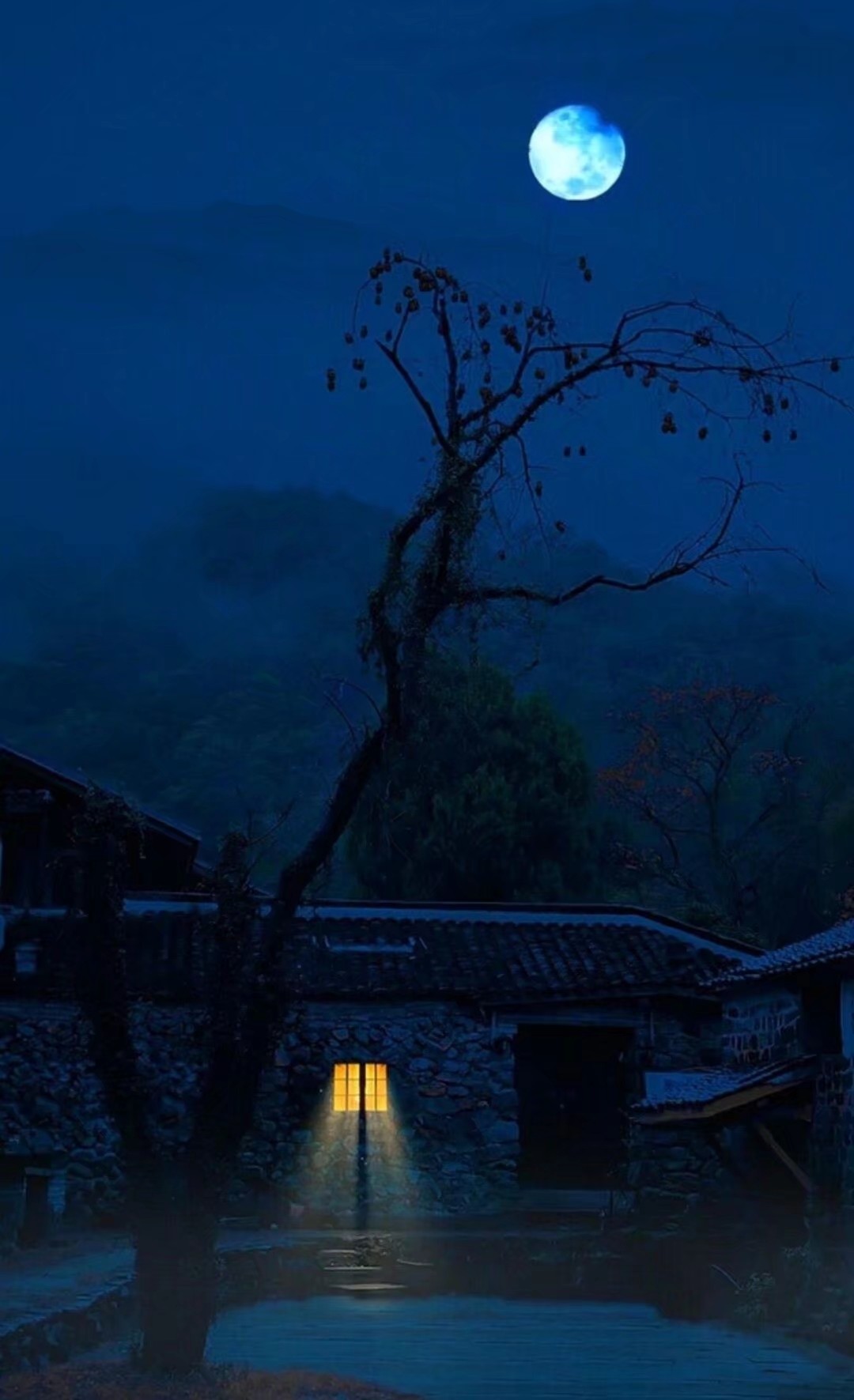 倍思亲》    文/蓝色港湾 晚风徐徐 圆月悬挂高空 清冷月色笼罩大地