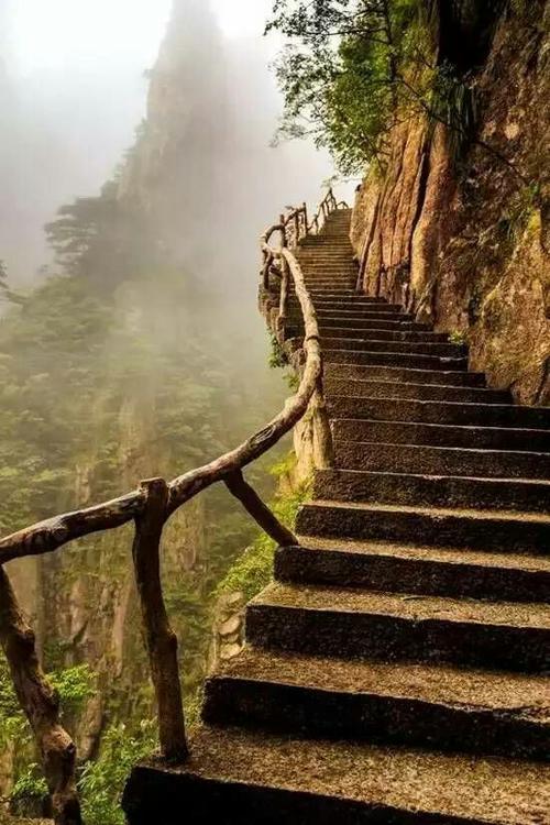 风雨人生淡然相随