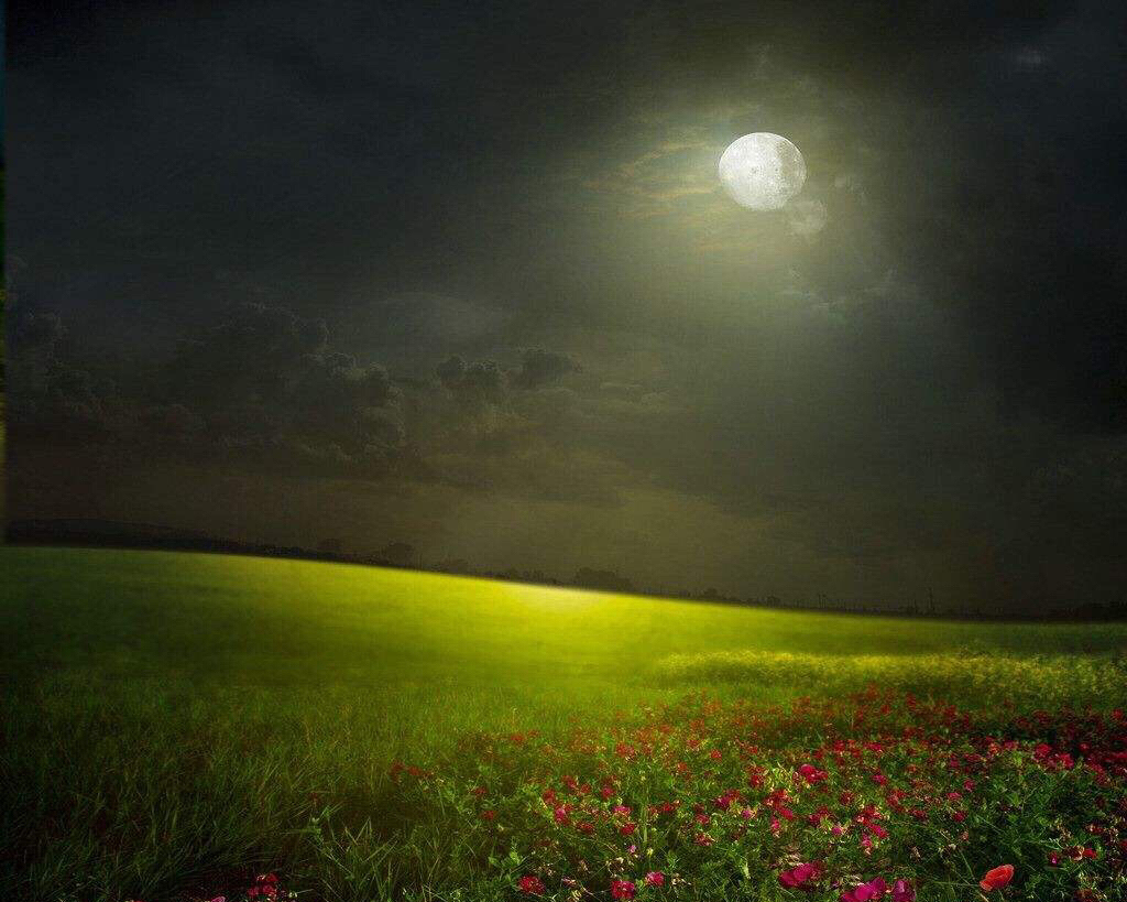 草原夜色美创作背景图片