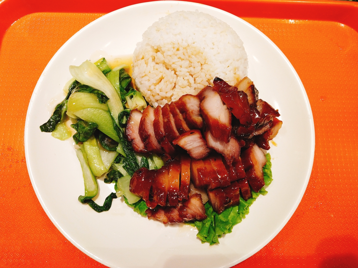 叉烧肉盖饭 制作人:史爱扬