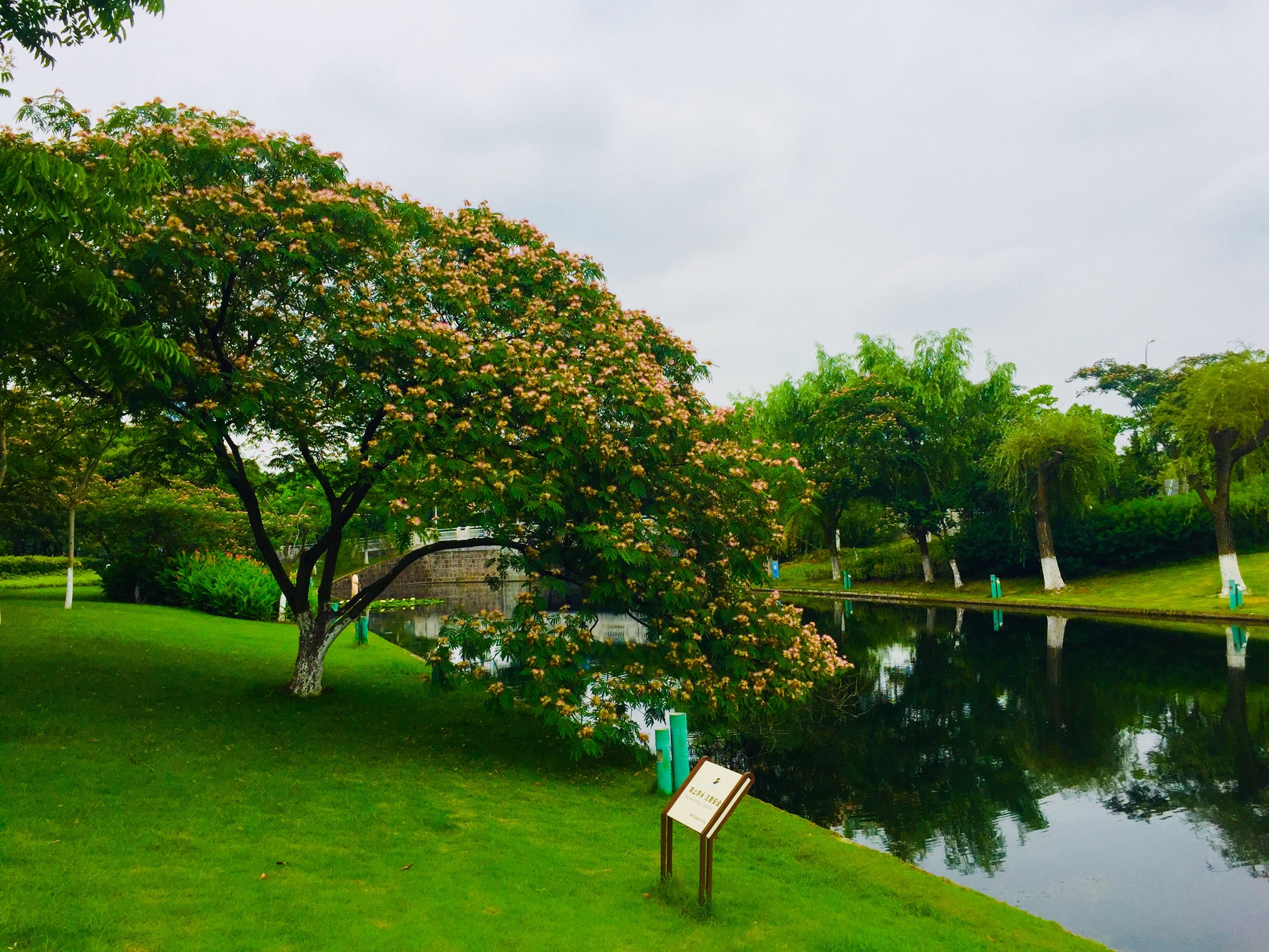 院士公園