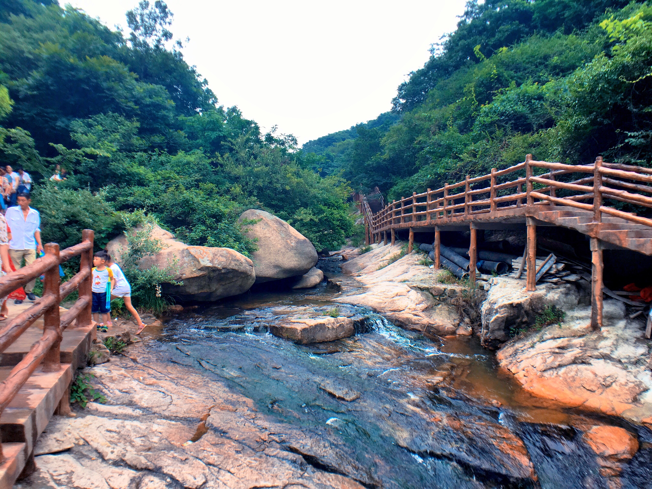 石川景區四季各有看點:春有花,金黃的連翹,元胡花漫山遍野;夏有綠