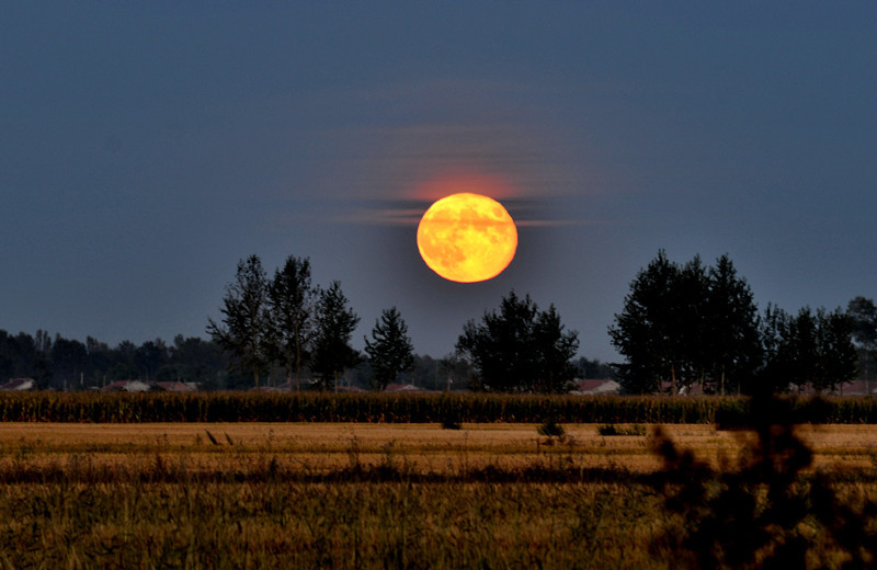 写给生命(节选)__席慕容