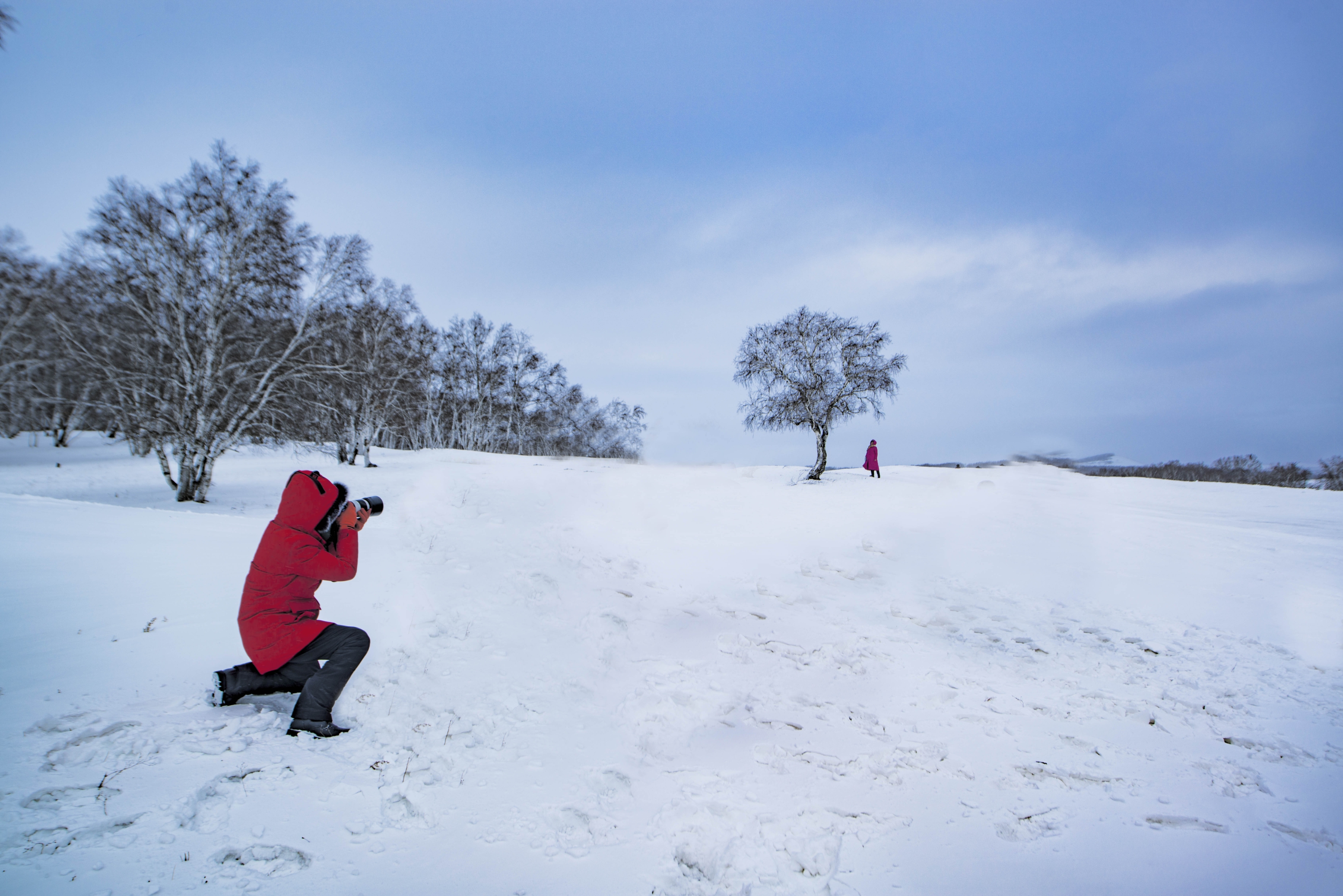 雪地红衣背影图片图片