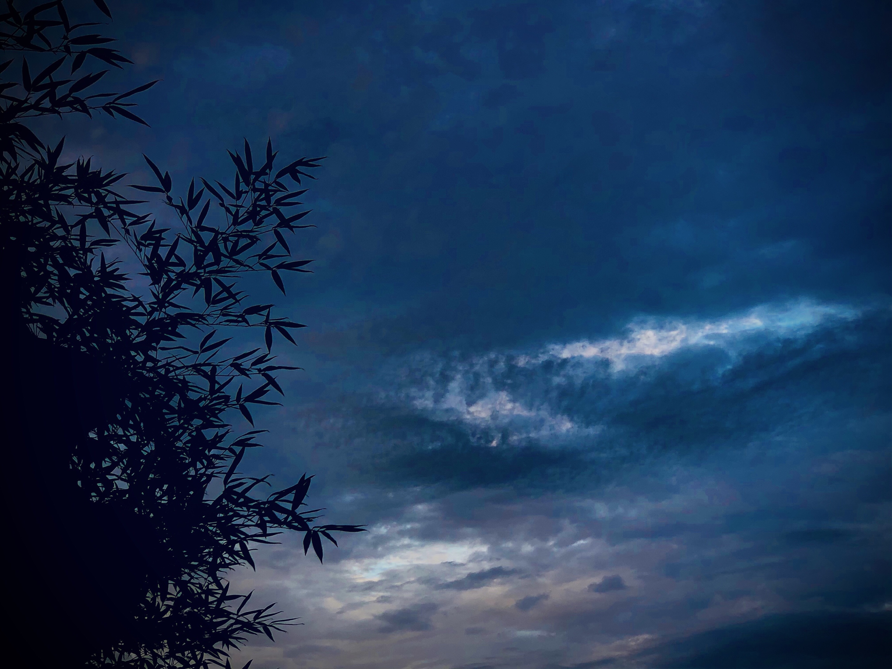 暮霭沉沉(原创)