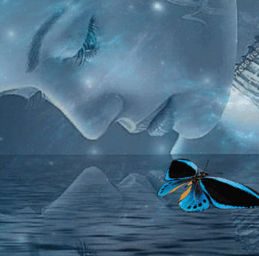 回眸一笑醉春风