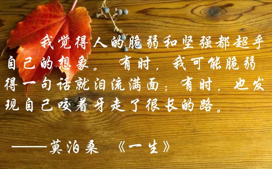 做一个最真实的人 用学到的知识传播自己的心声"小我"的罪恶存在,用