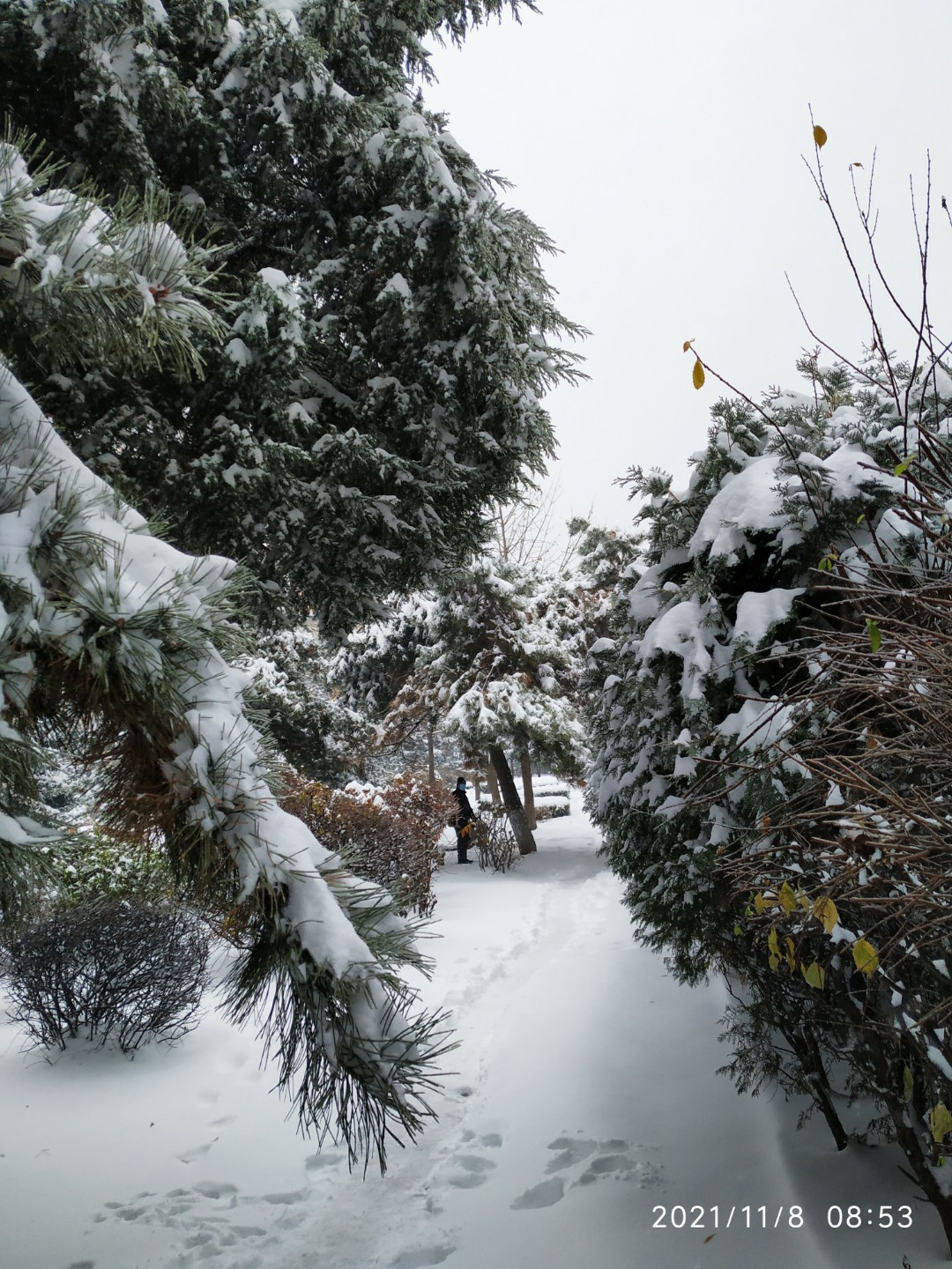 2021年的第一场雪