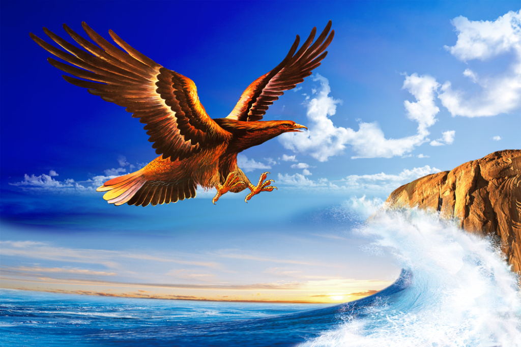 接纳阳光让心痱敞亮